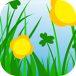 冈本视频app.入口