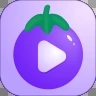 一个人看免费视频www无限观看版