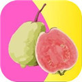 向日葵APP站长统计进入XRKTH