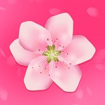 青藤之恋
