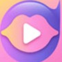 字母圈比较资深的app