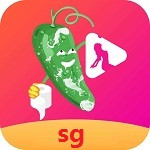 大菠萝app下载汅api免费大全