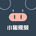 毒舌影视app下载